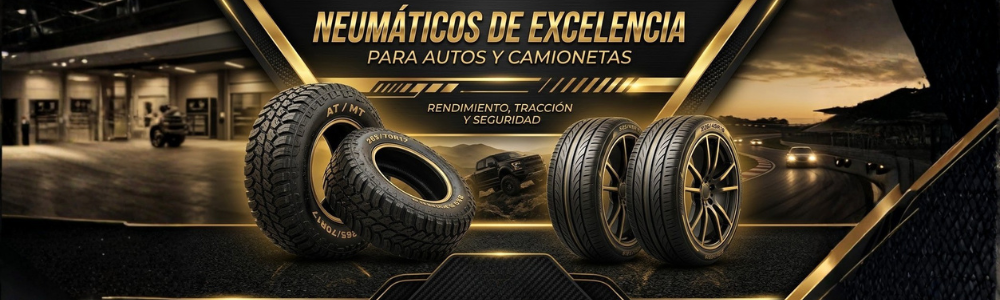 el mas grande stock de neumaticos de la quinta region. neumaicos para autos y camionetas, tractores y maquinaria pesada